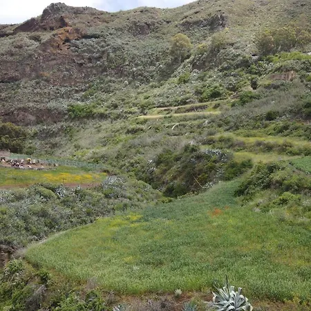 El Guanche Apartamento *
